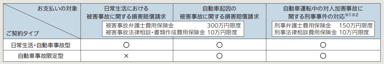 「日常生活・自動車事故型」と「自動車事故限定型」の違い